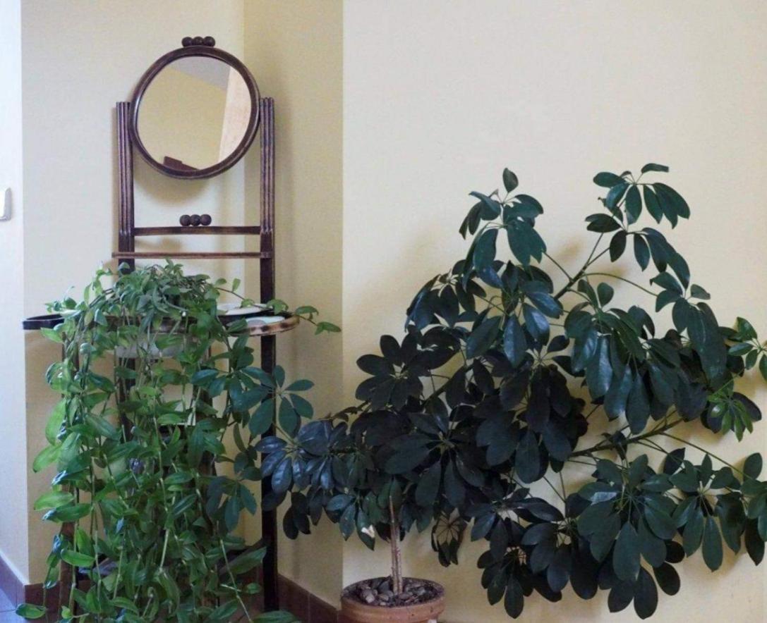 Hotel Casa Rural Betania à Villacalabuey Extérieur photo